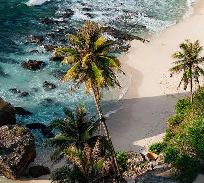 Vacation in sunny Florida: Miami beaches (Demo)
